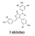 Candiolide